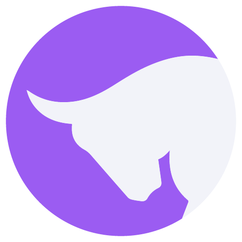 The Branding Bull Digital Marketing Agency logo